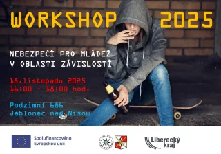 Snímek obrazovky 2025-11-10 201314